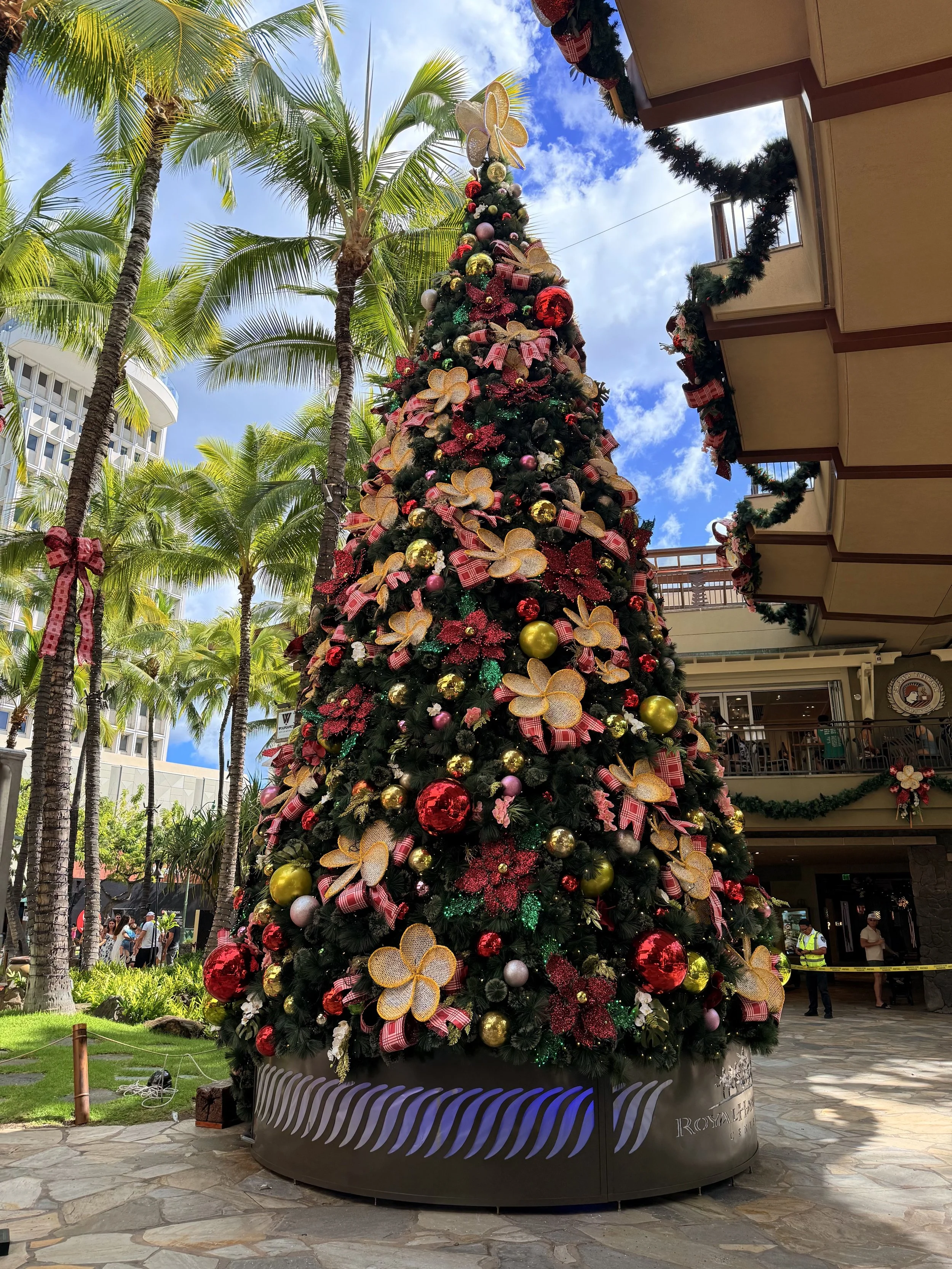 Hawaiian Holiday — ALPINE